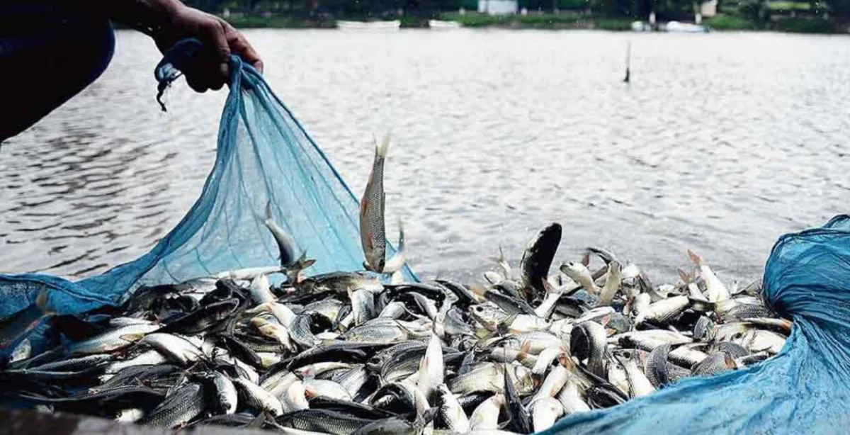 Fishing Ban Declared for Conservation and Breeding of Fish Violation May Attract a Fine of up to ₹25,000